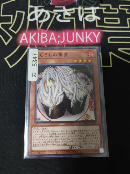 47433765