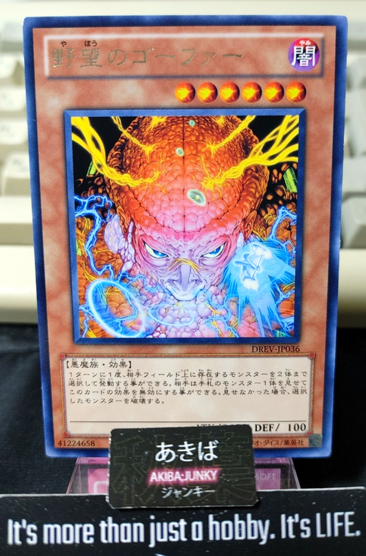 47433231