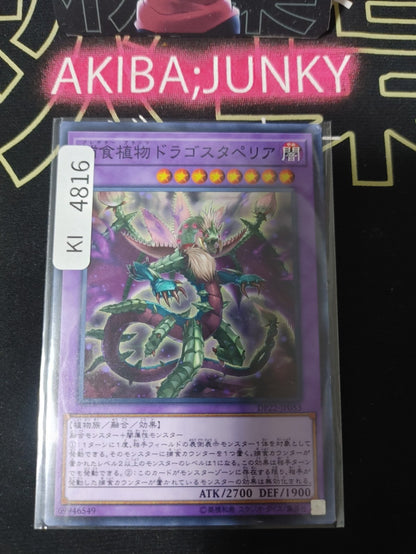 Predaplant Dragostapelia Yugioh DP22-JP053 Yu-Gi-Oh Konami OCG JAPAN