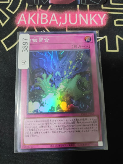 47445439