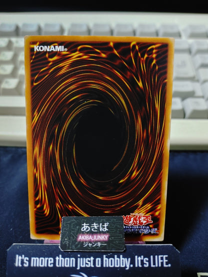 Skelgon Yugioh Yu-Gi-Oh Konami OCG Vintage JAPAN