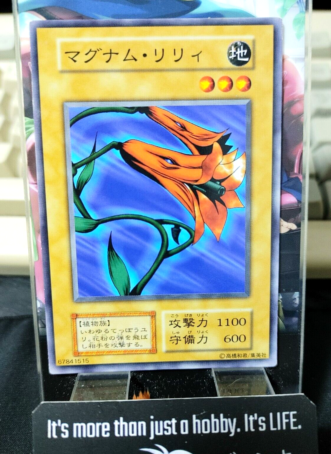 47430988
