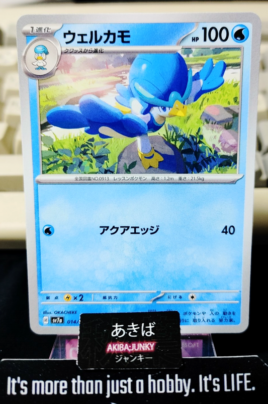 47431310
