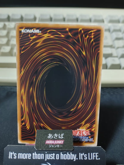 Trirealm Rift Gospel Yugioh DBGV-JP040 Parallel Yu-Gi-Oh Konami OCG JAPAN