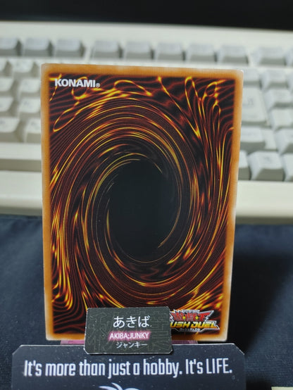 Odd-Eyes Twin Tail Cat‎ Yugioh RD/MAX1-JP025 Super Rare Rush Duel JAPAN
