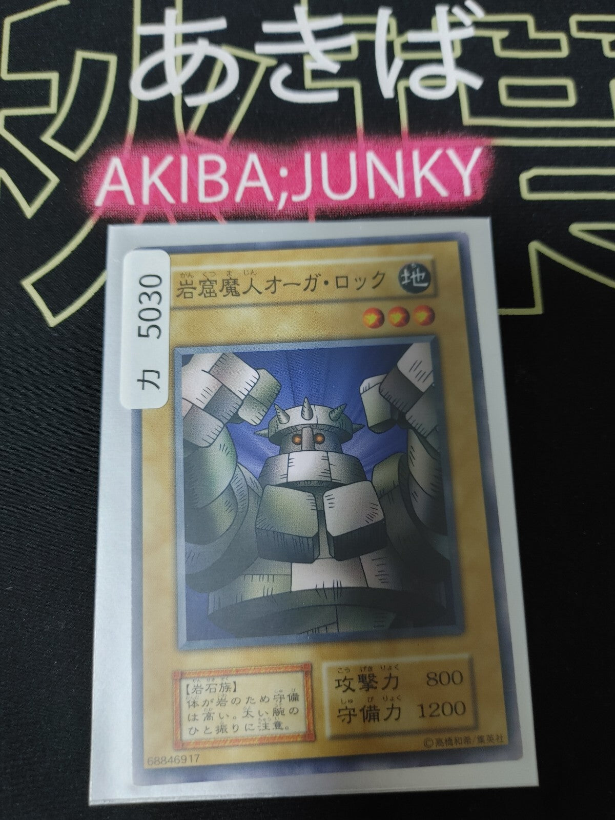 47431021