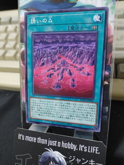 47437005