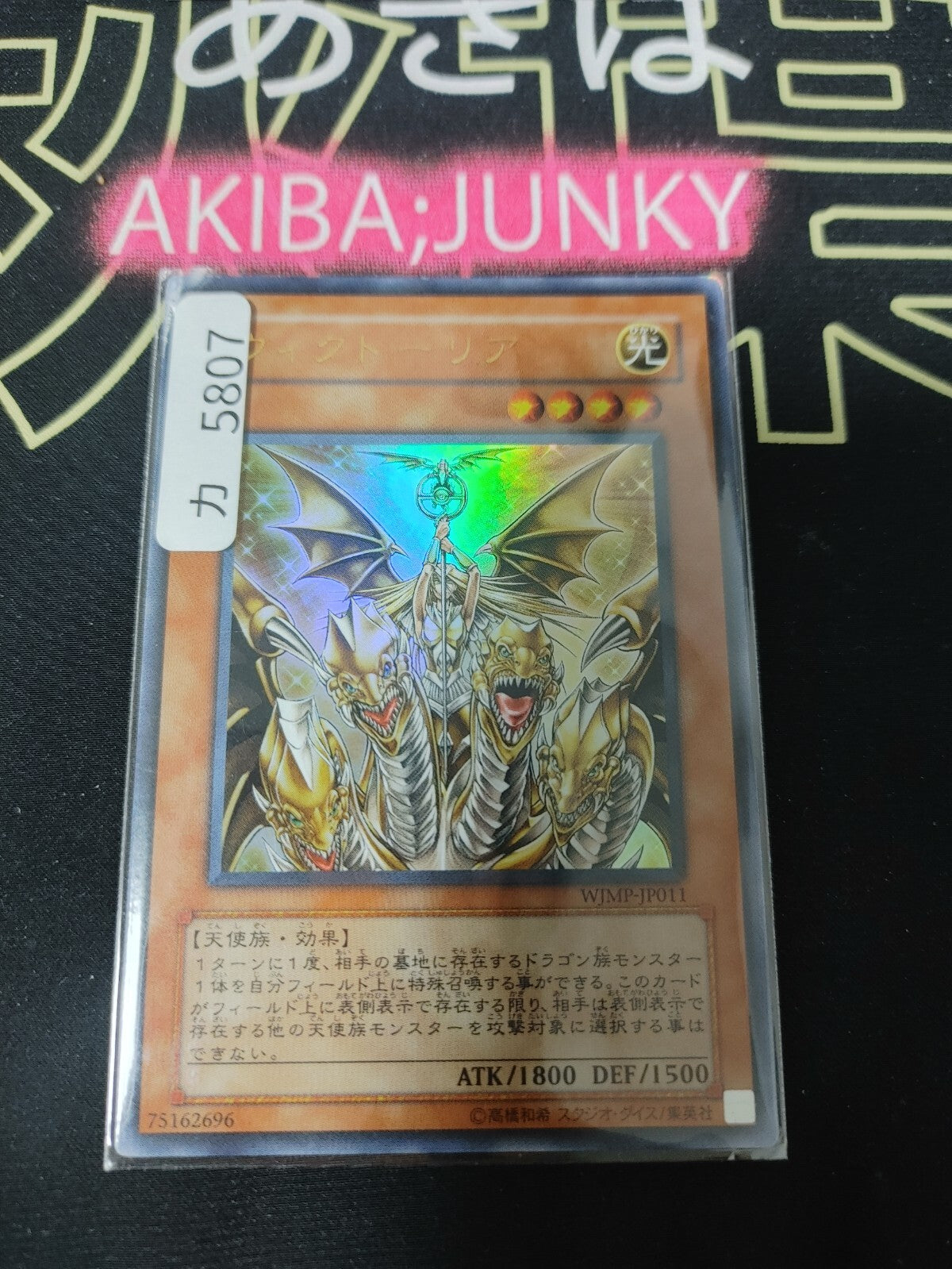 47430662