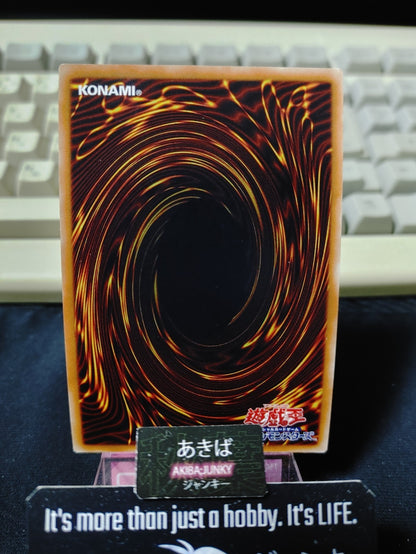 47428004