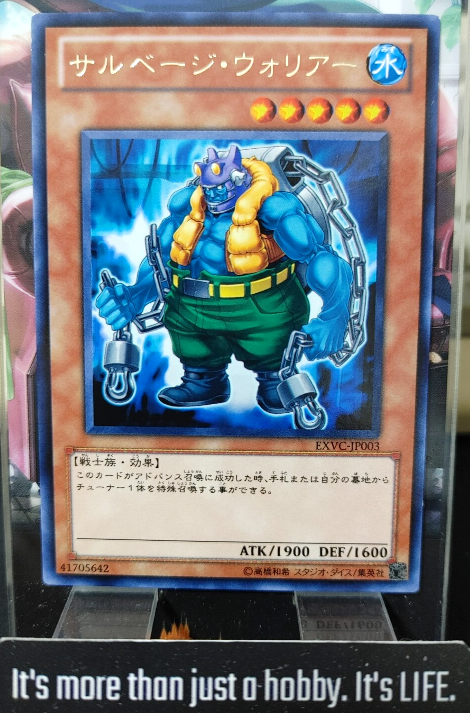 47429139