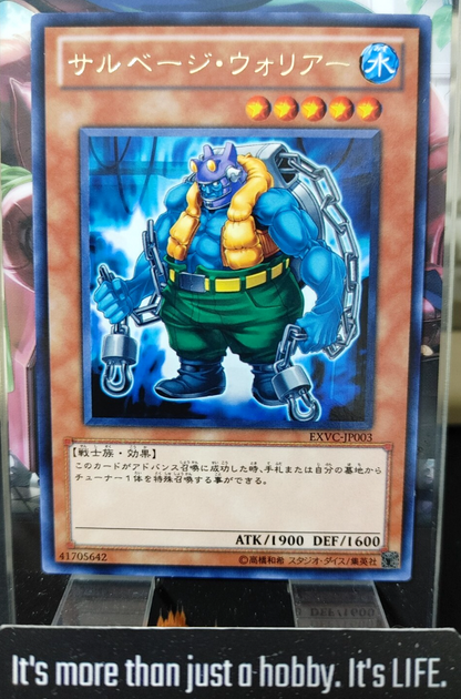 47429139