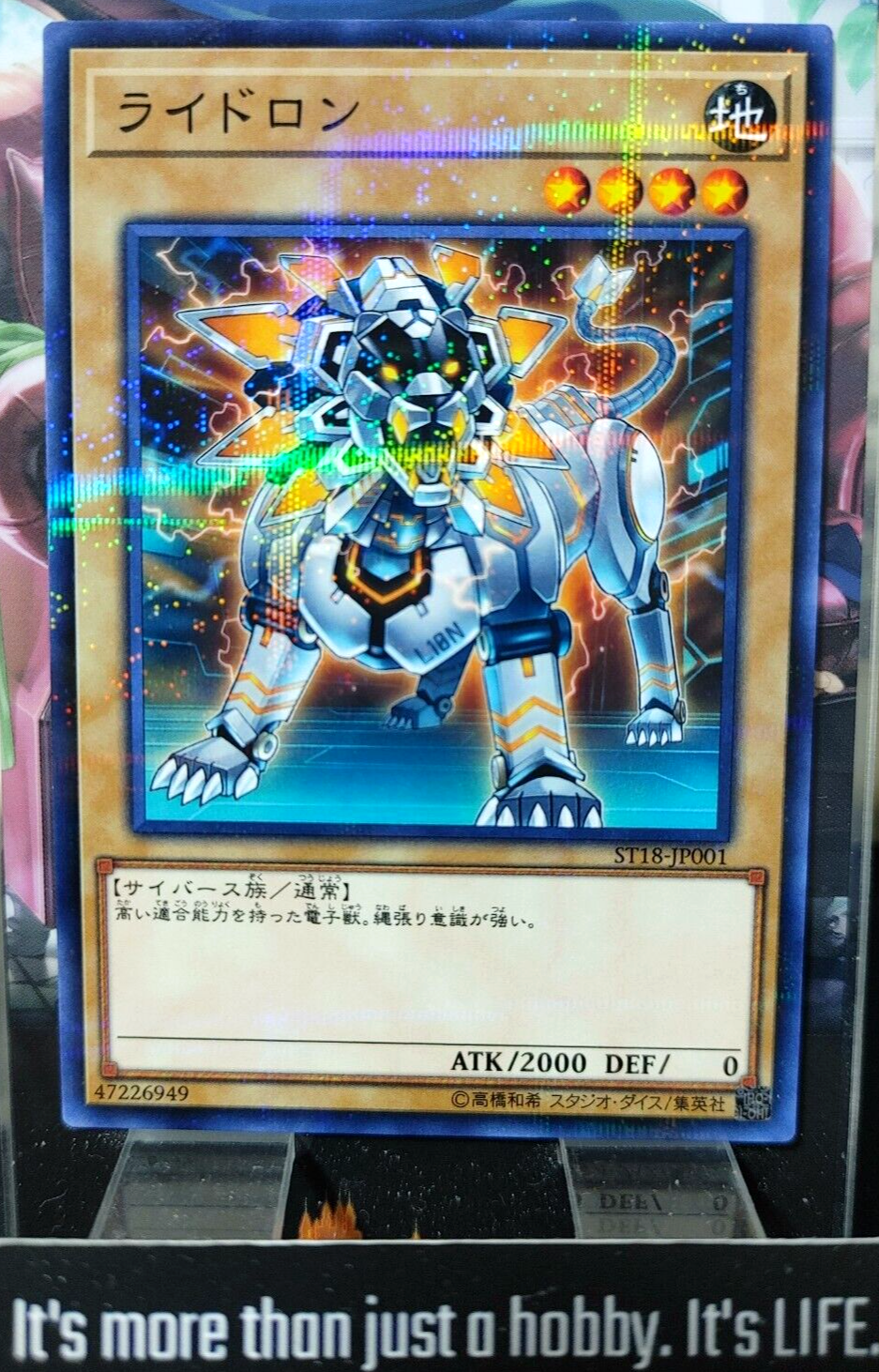 47437044