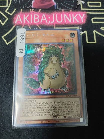 47427352