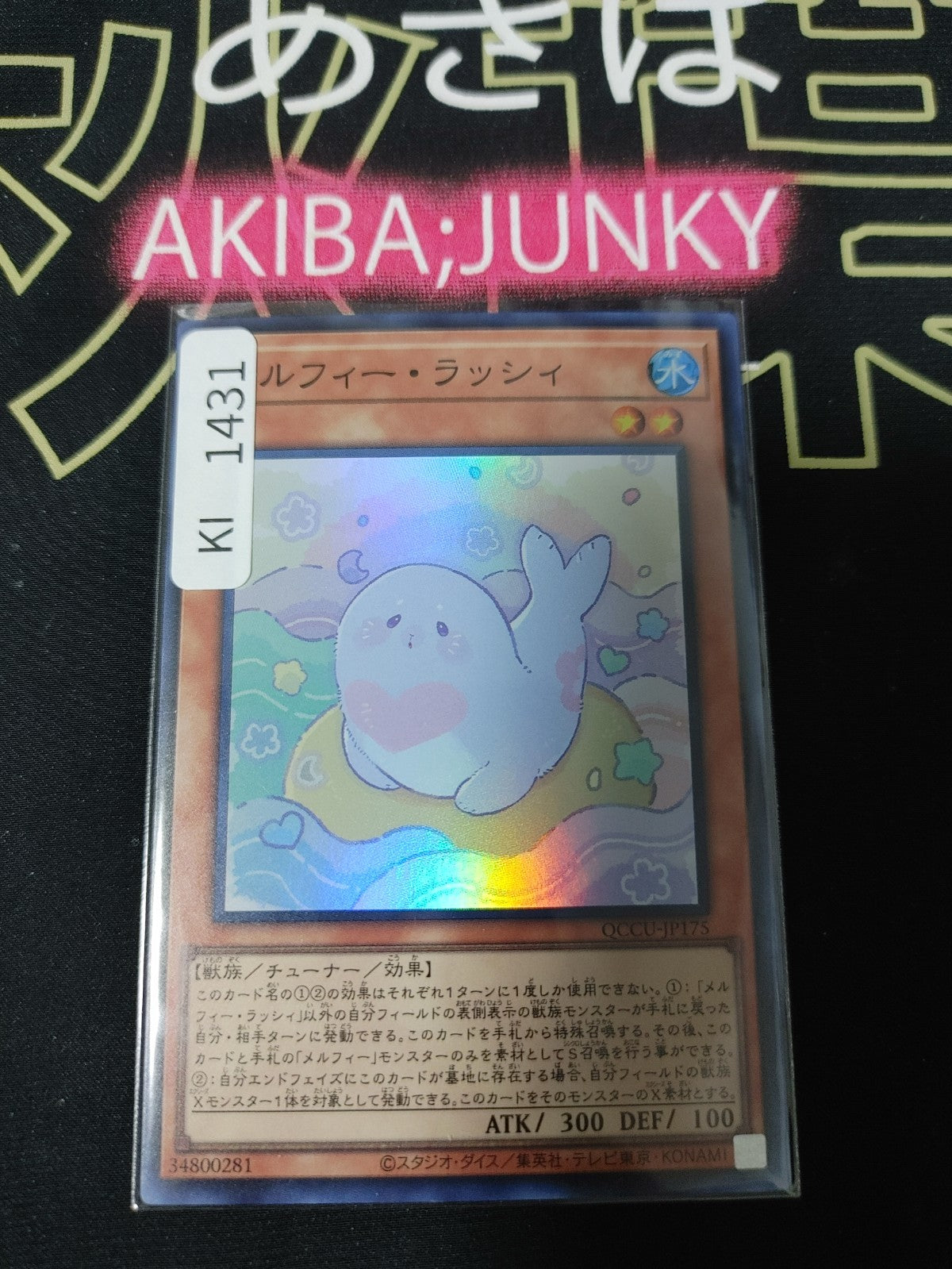 47431303