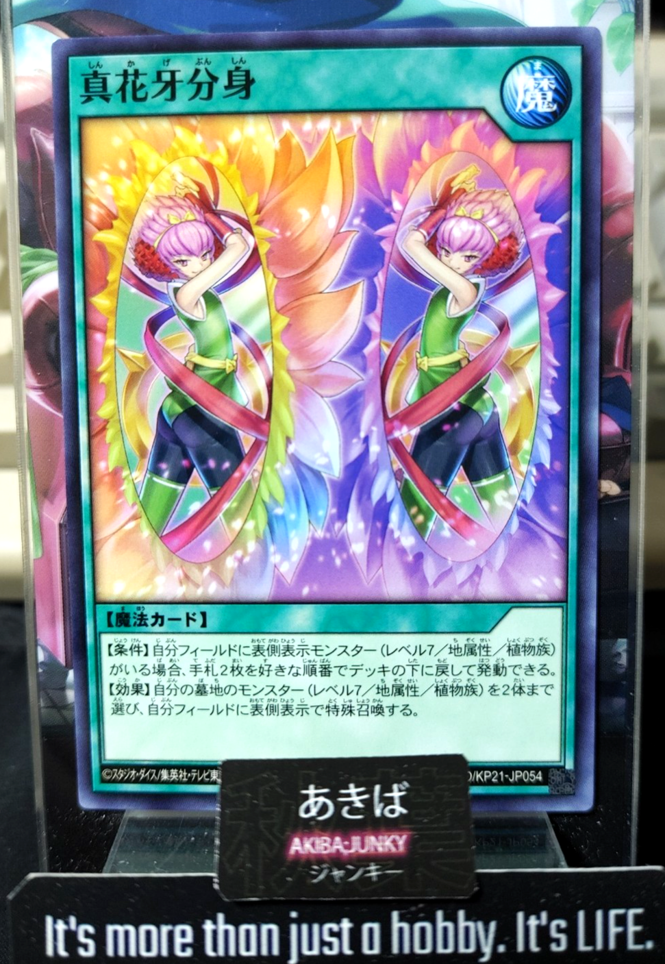 47435377