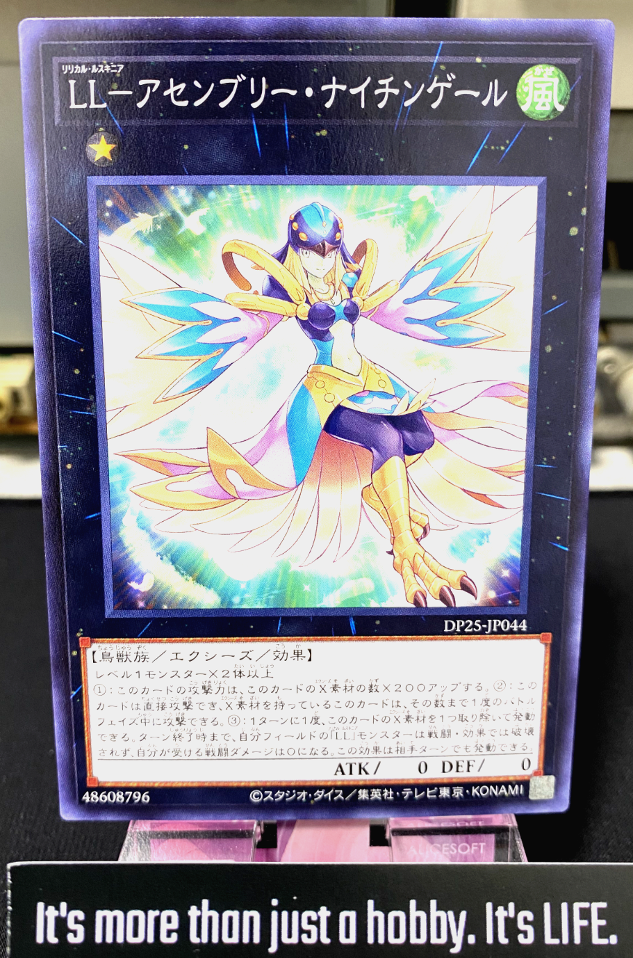 47427562