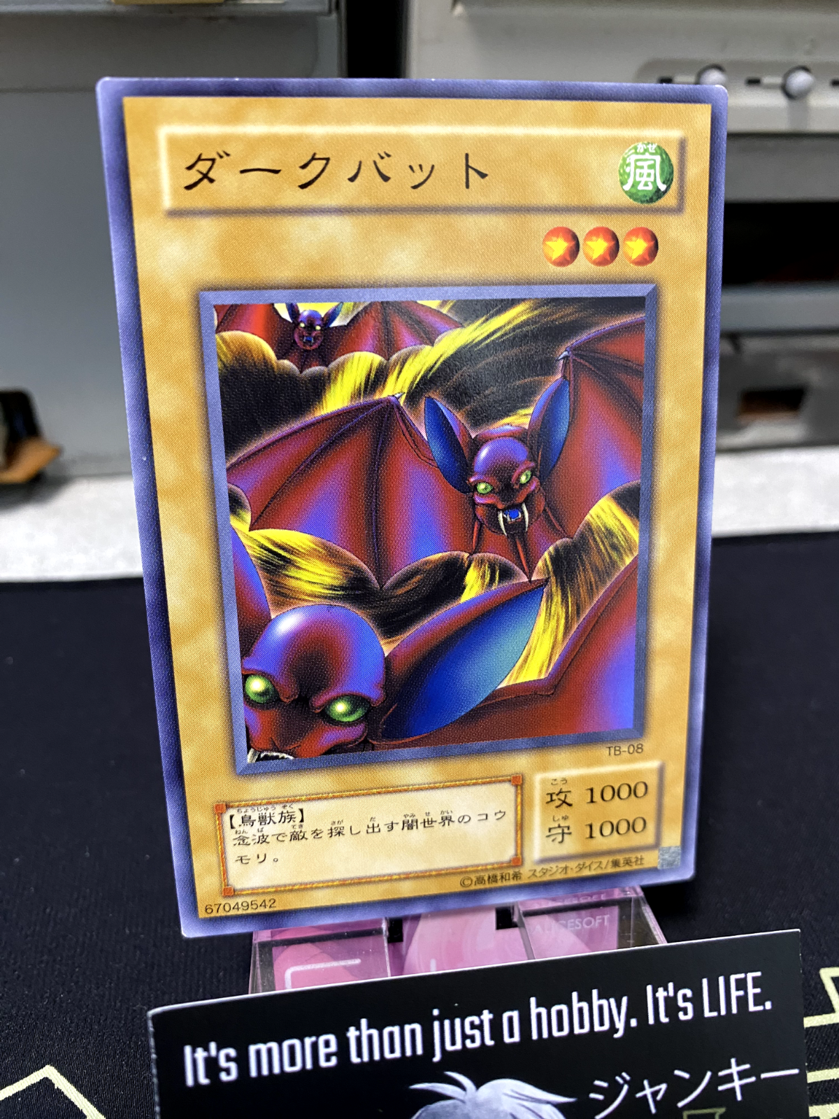47430046
