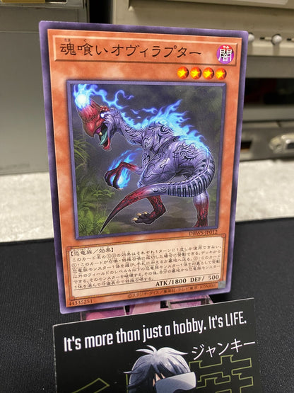 47425396