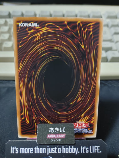 Exorsister Elise Yugioh DBGC-JP013 Yu-Gi-Oh Konami OCG JAPAN