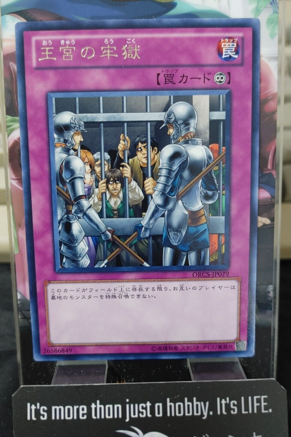 47434453