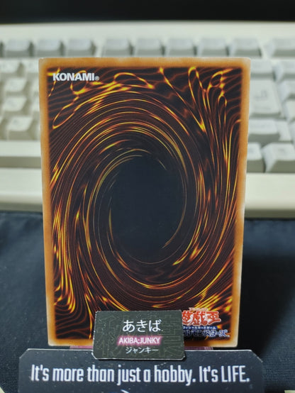 Snowflower Sprite Helleborus Yugioh DBSS-JP020 Parallel Konami OCG JAPAN