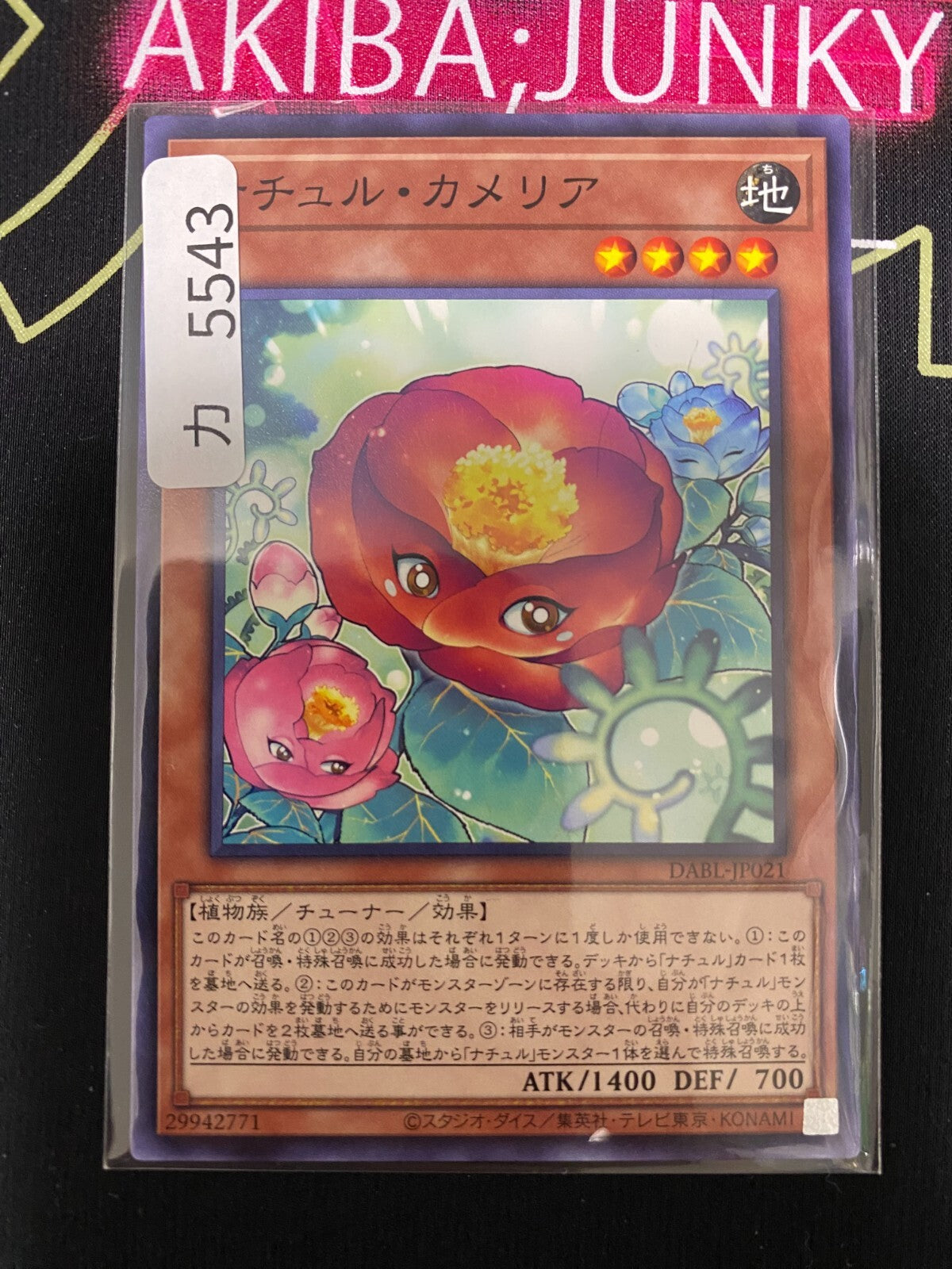 47425398