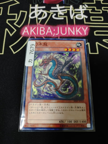 47437204