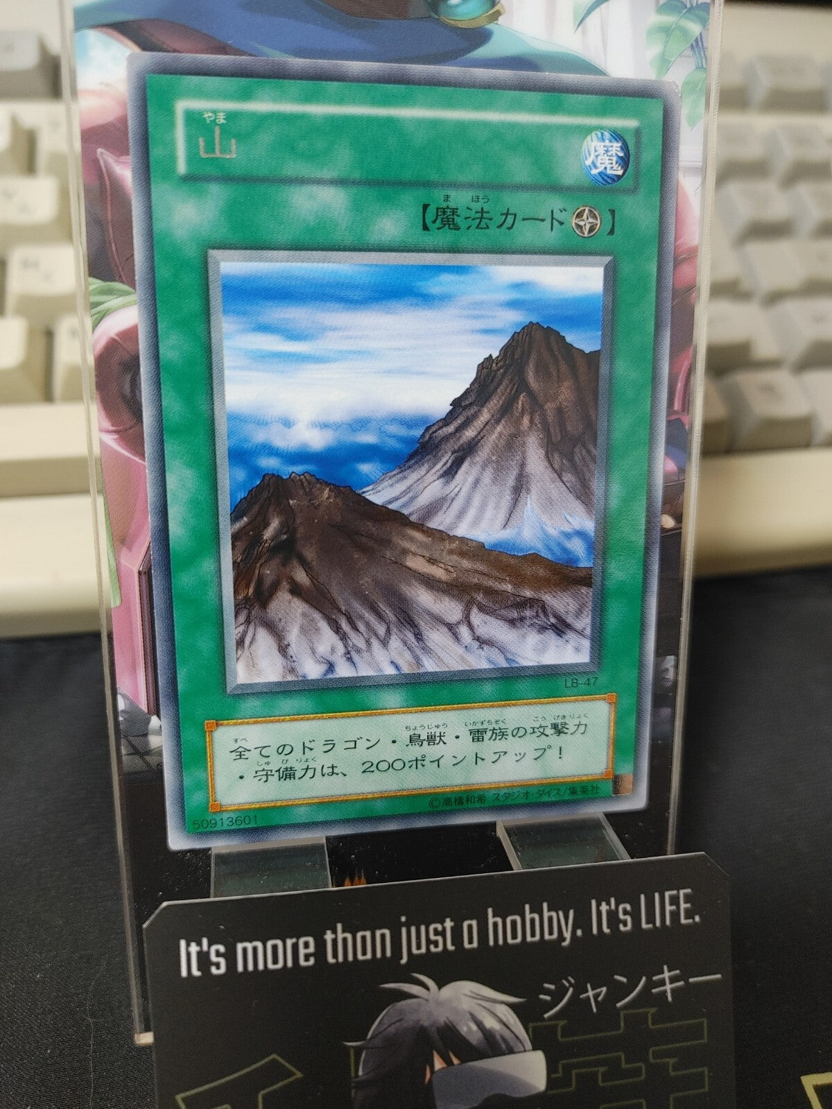 47429257
