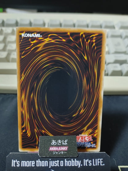 Master Gig Yugioh RGBT-JP030 Yu-Gi-Oh Konami OCG JAPAN