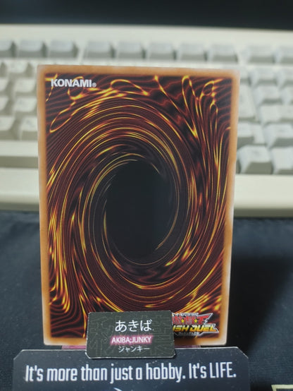 The Imprisoned Dragon Princess Yugioh RD/KP26-JP009 Secret Rare Rush Duel JAPAN