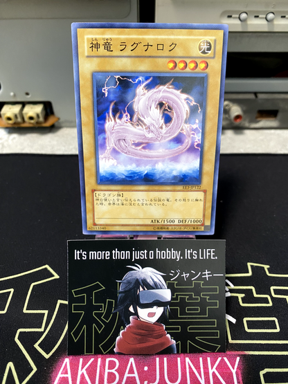 47430041