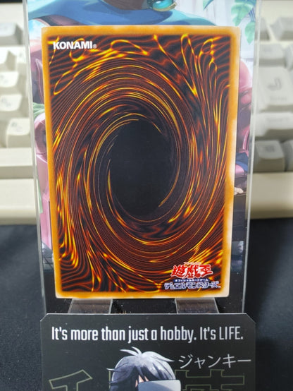 47431049