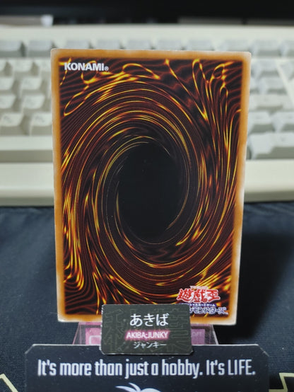 47430644