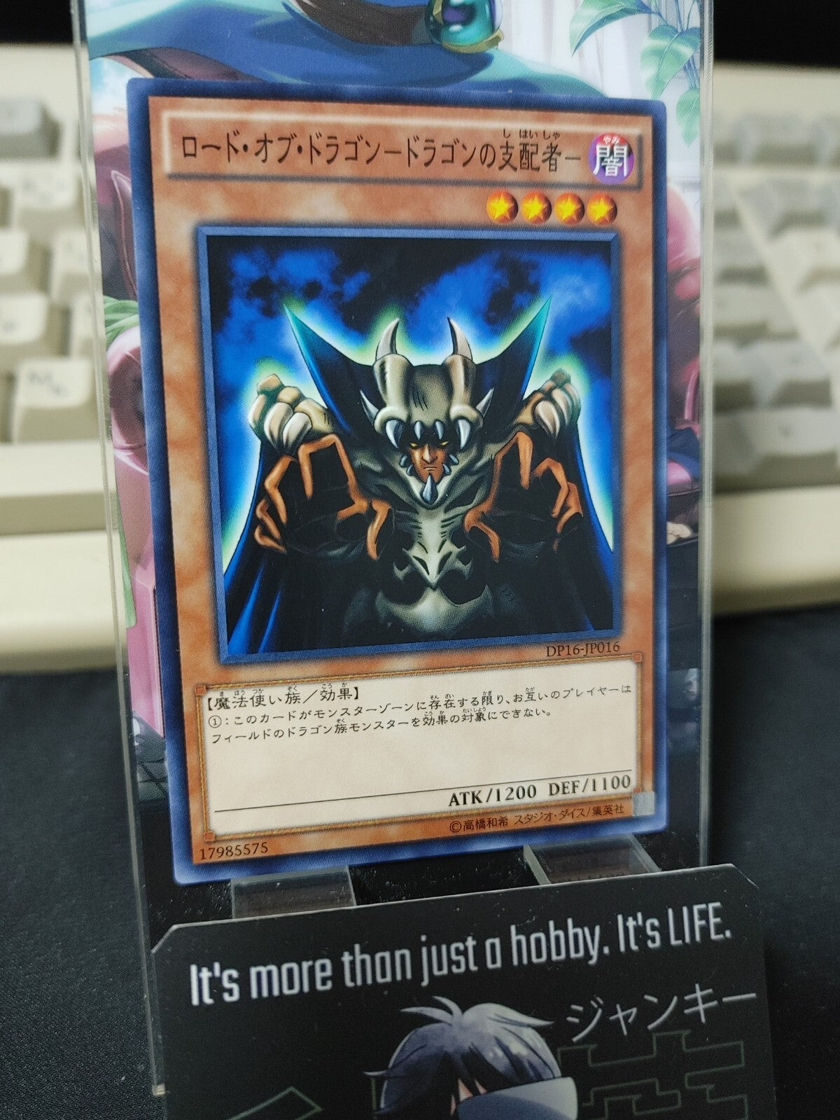 47429548