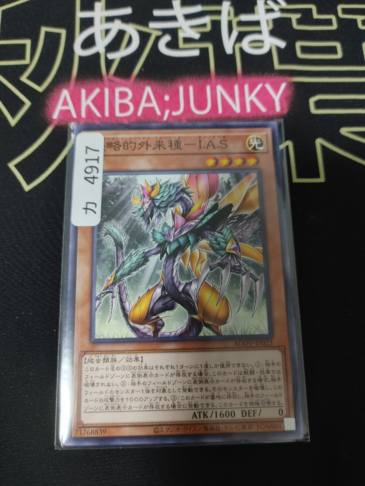 47434650