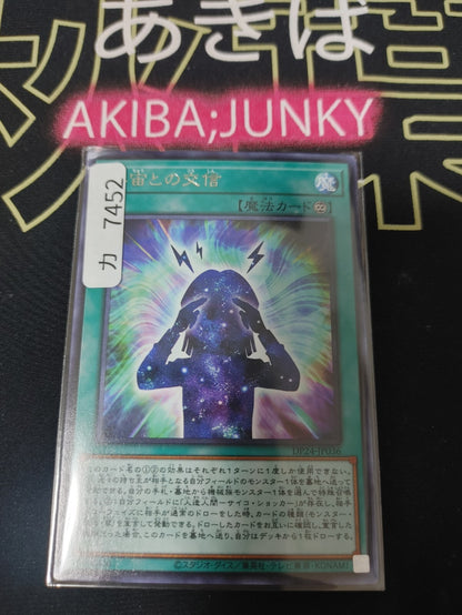 47424911
