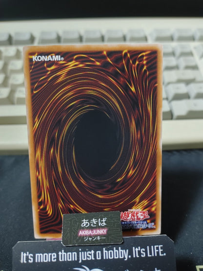 Unchained Soul Shyama Yugioh DUNE-JP020 Yu-Gi-Oh Konami OCG JAPAN