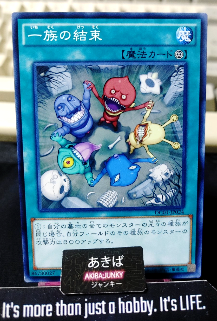 Solidarity Yugioh DC01-JP024 Konami OCG JAPAN