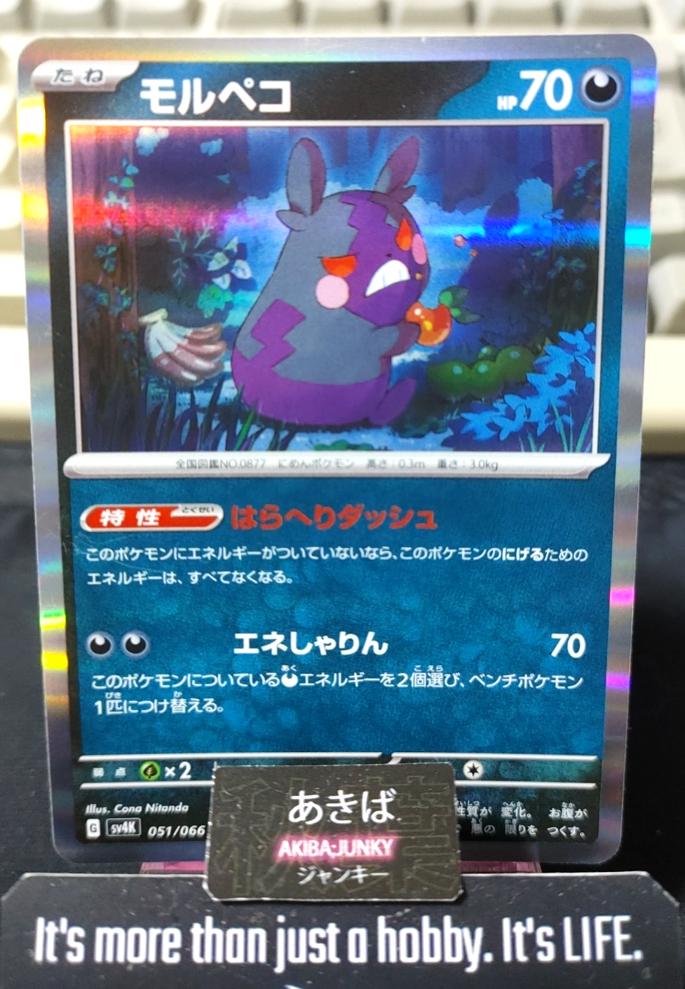 Pokemon Morpeko SV4K 051/066 R Card Japanese JAPAN