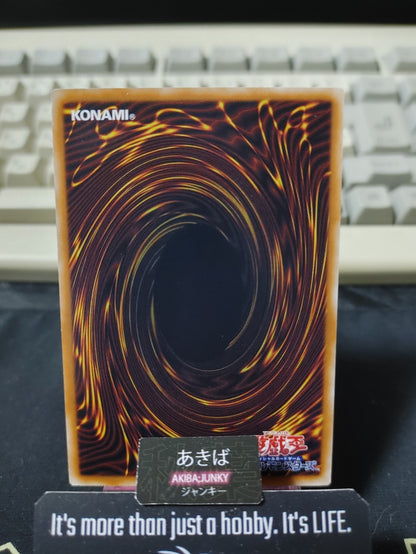 Panther Shark Yugioh DP15-JP012 Yu-Gi-Oh Konami OCG JAPAN
