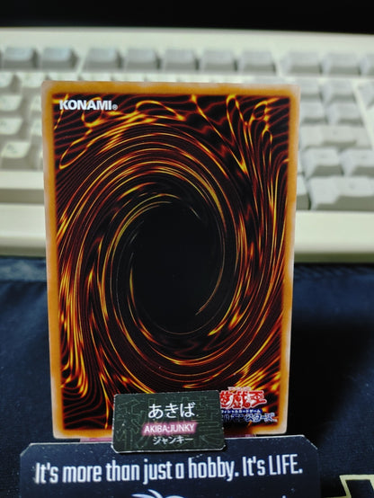 As the Master of Beasts Pleases Yugioh DAMA-JP078 Yu-Gi-Oh Konami OCG JAPAN