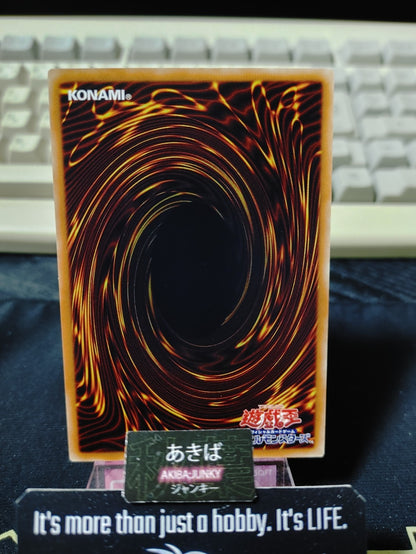 47425047
