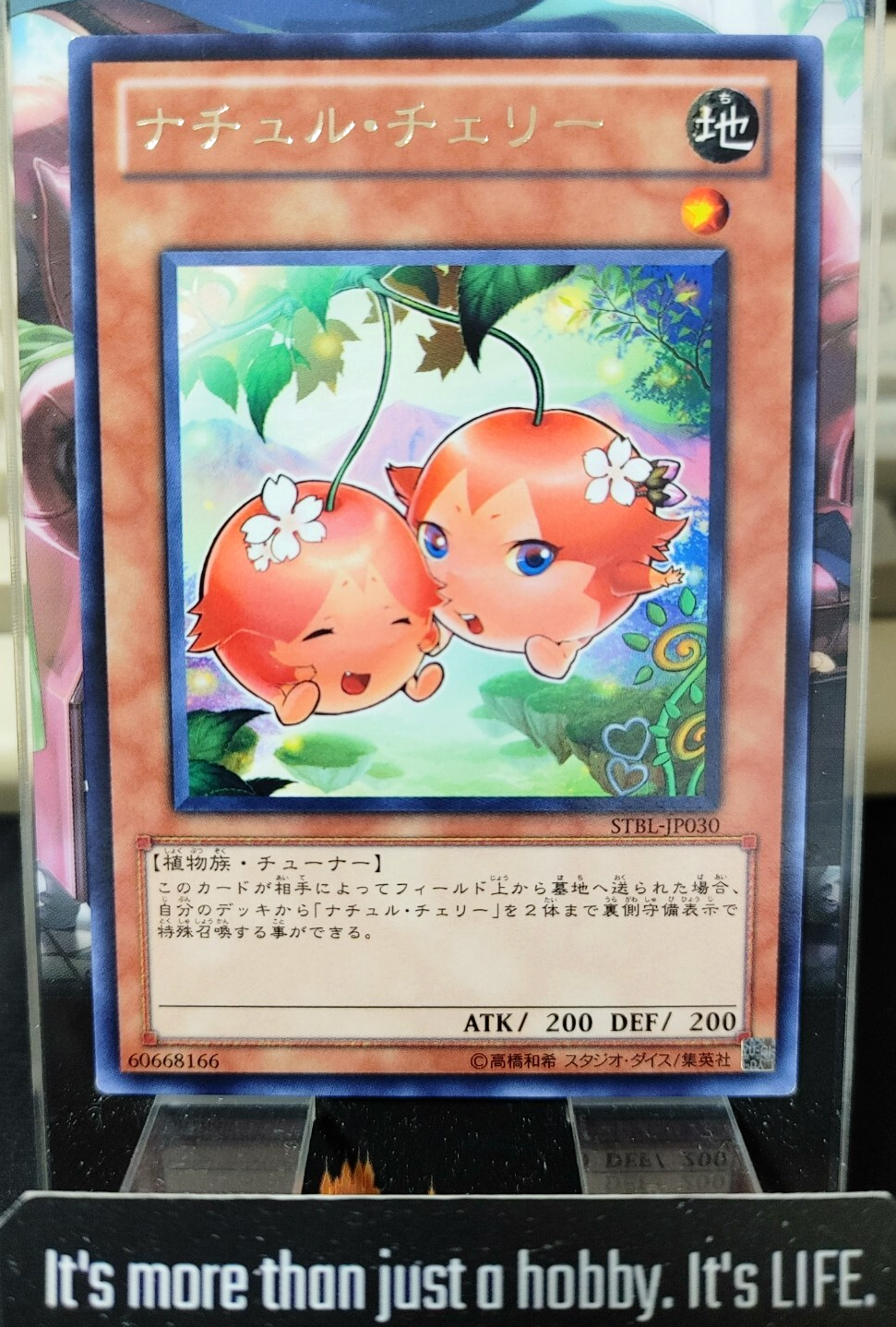 47429053