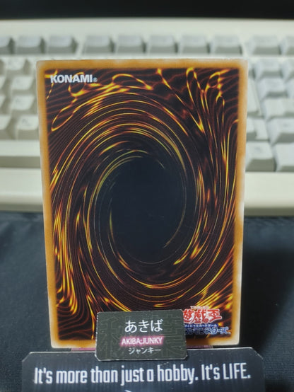 Evoltile Casinerio Yugioh ORCS-JP026 Rare Konami OCG JAPAN