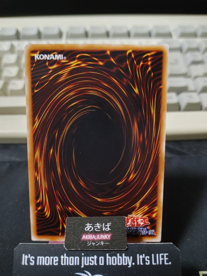 Stray Lambs Yugioh 307-037 Rare Konami OCG JAPAN