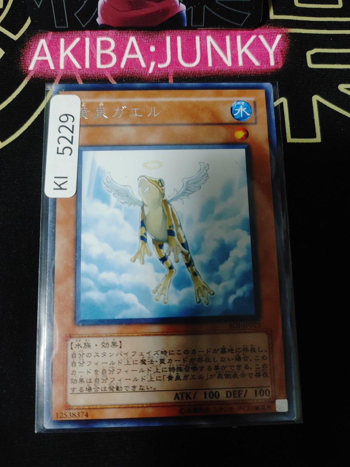 Treeborn Frog Yugioh SOI-JP025 Rare Yu-Gi-Oh Konami OCG JAPAN