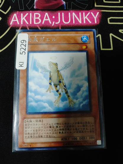 Treeborn Frog Yugioh SOI-JP025 Rare Yu-Gi-Oh Konami OCG JAPAN
