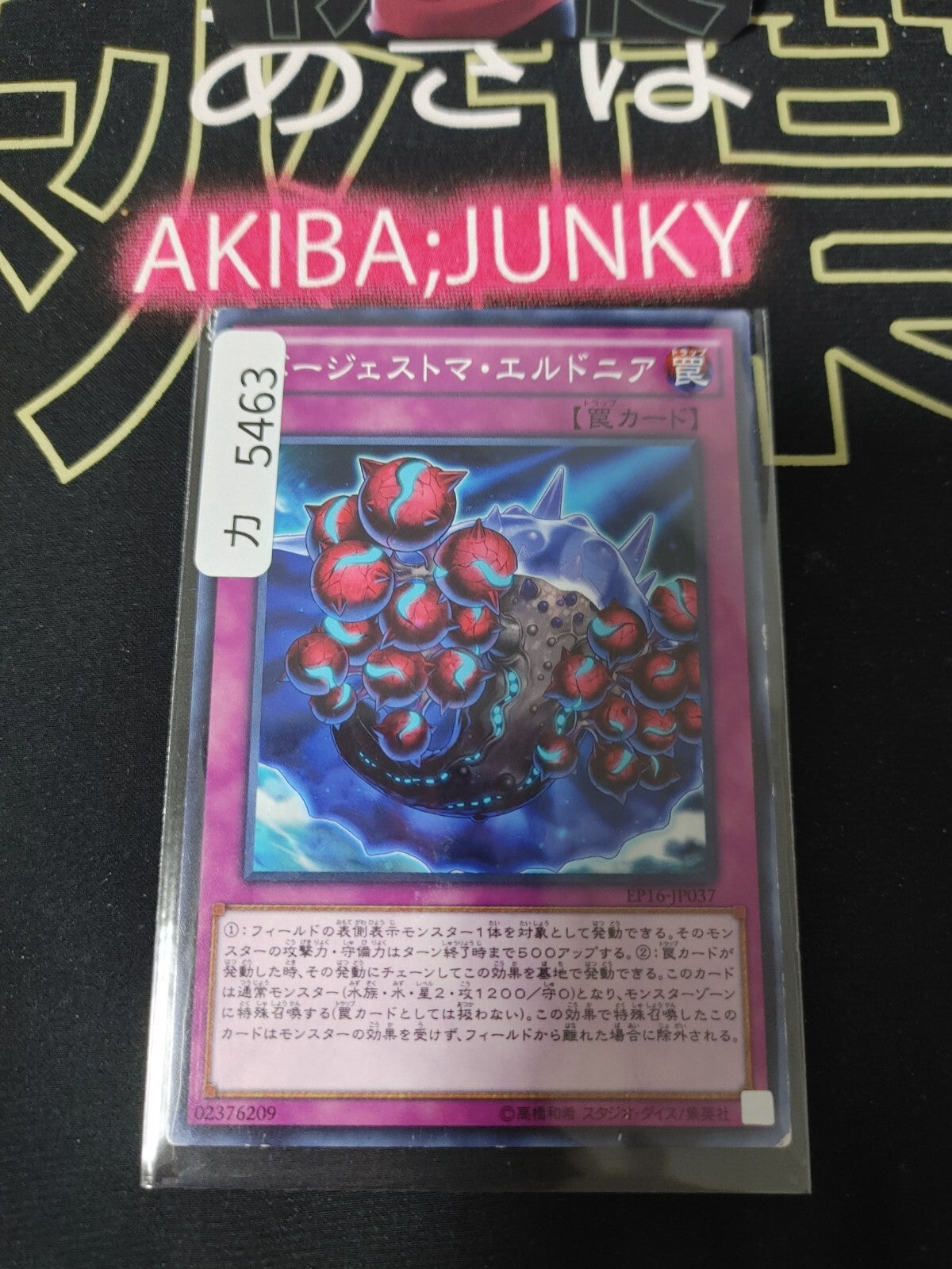47433727