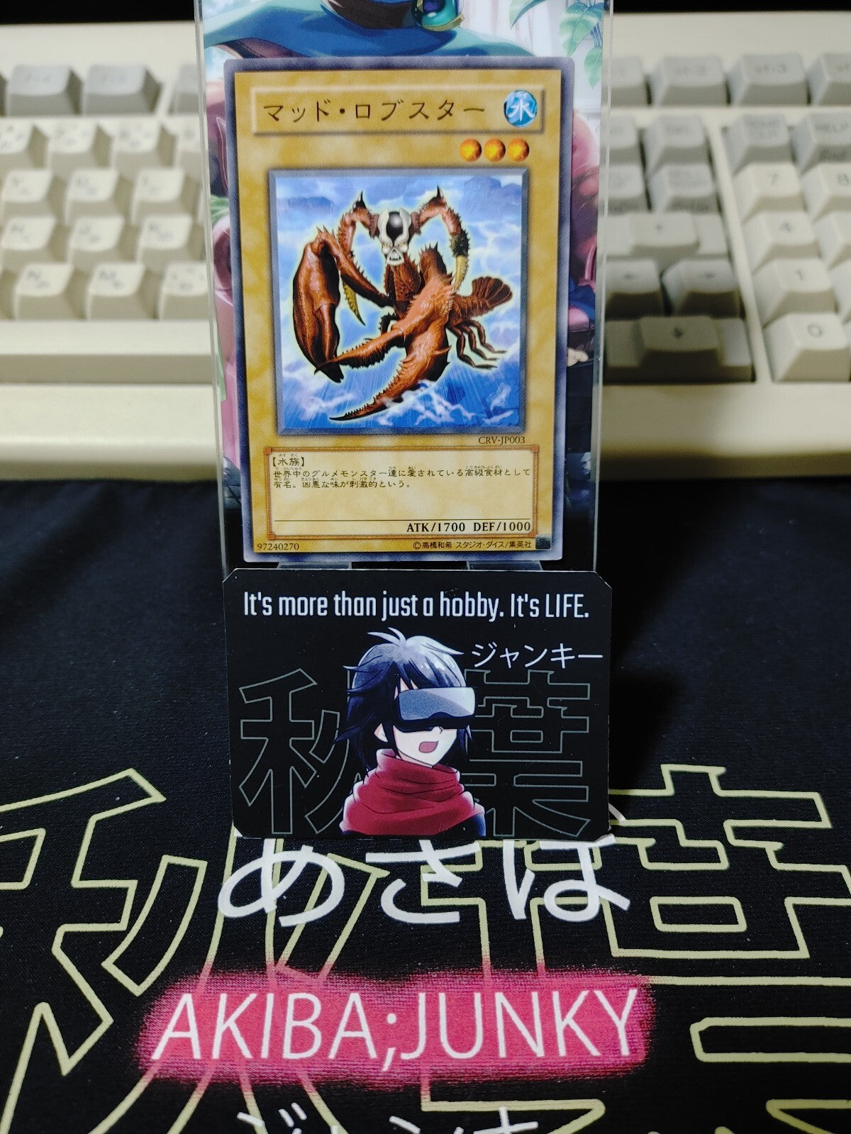 47435123