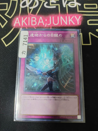 47431527